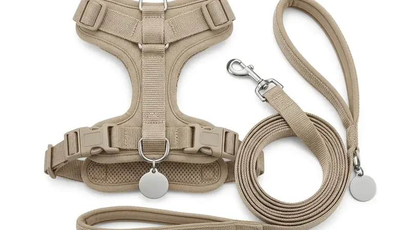 Accesorios y productos de sanidad para mascotas